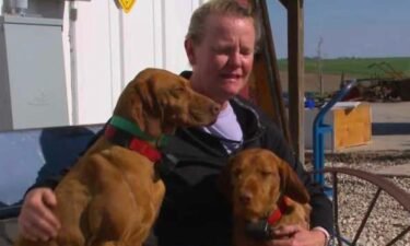 The Schaben family needed a Sawzall and a jack to free two of their believed Hungarian Vizslas from rubble after Friday's tornado.