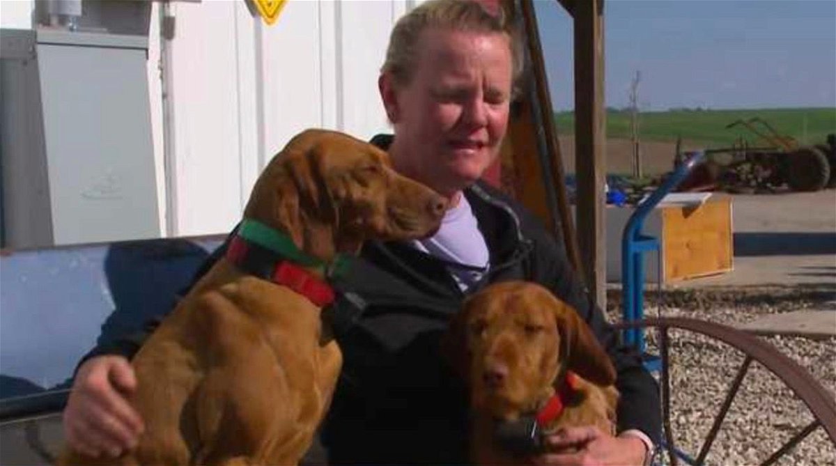 <i>KCCI via CNN Newsource</i><br/>The Schaben family needed a Sawzall and a jack to free two of their believed Hungarian Vizslas from rubble after Friday's tornado.