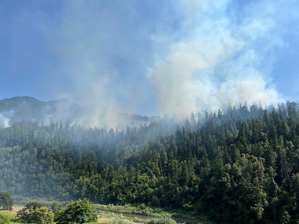 Forest Service-Karuk Tribe collaborative prescribed fire with cultural objectives in June 2023 near Somes Bar, Calif.