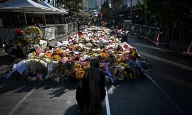 The attack on the bishop came just days after an unrelated knife massacre in a Sydney shopping mall that claimed the lives of six people and their attacker. Pictured are floral tributes for victims of the mall attack in Sydney on April 16.