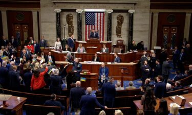 Lawmakers wave Ukrainian flags after the House passed the Ukraine Security Supplemental Appropriations Act.