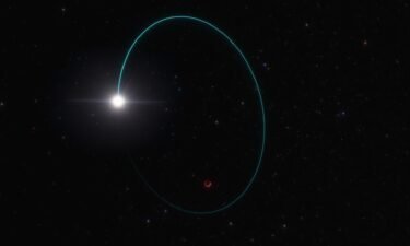 Scientists found the most massive stellar black hole in our galaxy due to the wobbly motions of its companion star. An artist's illustration shows the orbits of the star and black hole
