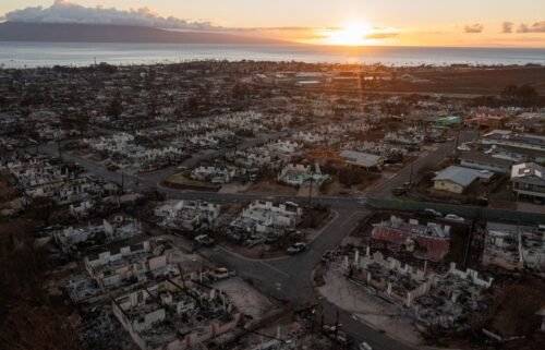 Burned homes and vehicles are seen in a neighborhood that was destroyed by the recent windswept wildfires in Lahaina