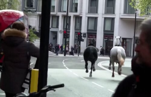 Video showed the horses running down a street in London.