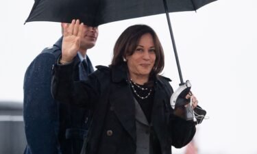 A Secret Service agent assigned to Vice President Kamala Harris’ detail was removed from their assignment after displaying behavior that colleagues found “distressing."