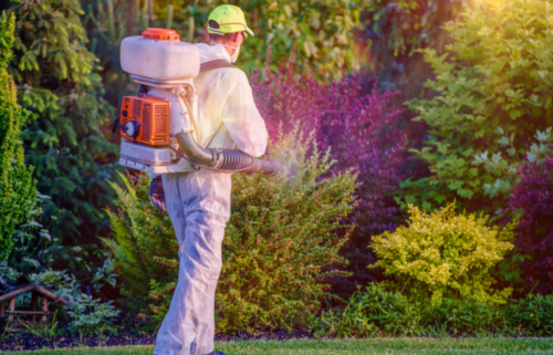 Itching for a new venture? Here are the 20 best US metro areas to start a pest control business in 2024