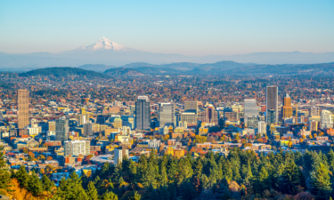 What are the most common degrees in Portland?