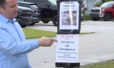 Neighbors in a Palm Beach County neighborhood say there’s a cat killer on the loose