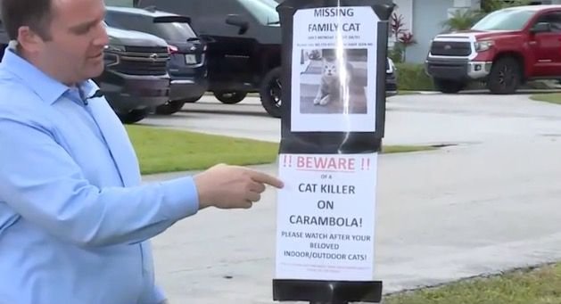 <i>WPBF via CNN Newsource</i><br/>Neighbors in a Palm Beach County neighborhood say there’s a cat killer on the loose