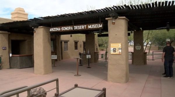 <i>KGUN via CNN Newsource</i><br/>The Arizona-Sonora Desert Museum is a zoo