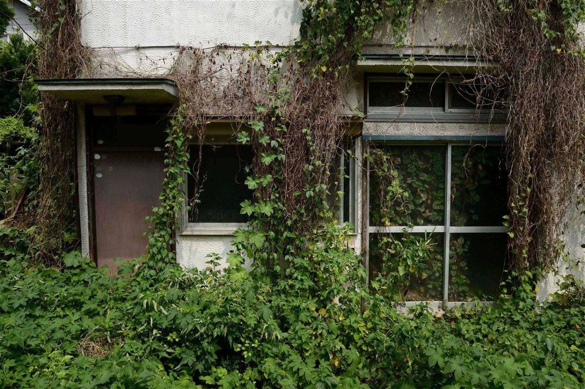 <i>Akio Kon/Bloomberg/Getty Images/File via CNN Newsource</i><br/>Overgrown vegetation surrounds a vacant house in the Yato area of Yokosuka City
