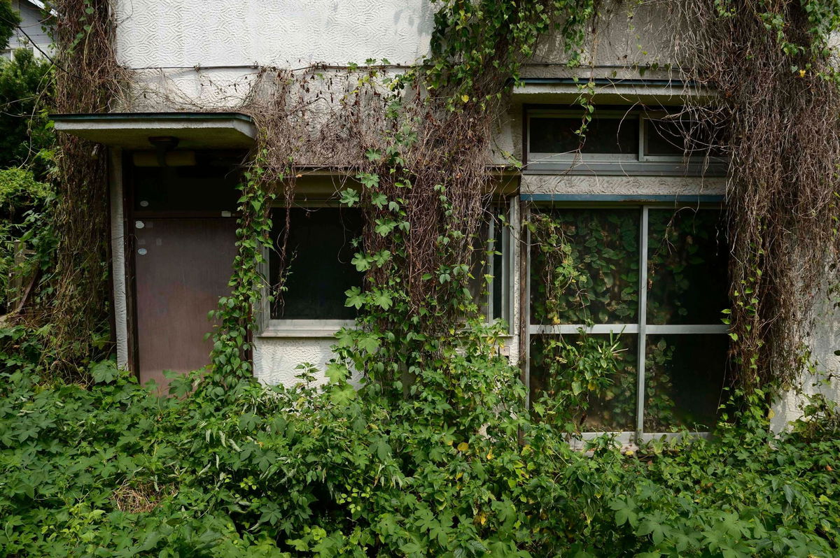 <i>Akio Kon/Bloomberg/Getty Images/File via CNN Newsource</i><br/>Overgrown vegetation surrounds a vacant house in the Yato area of Yokosuka City