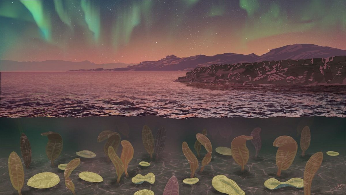 <i>Michael Osadciw/University of Rochester via CNN Newsource</i><br/>An artist's impression depicts what Earth may have looked like during the Ediacaran Period