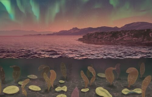 An artist's impression depicts what Earth may have looked like during the Ediacaran Period