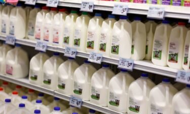 Ongoing tests of dairy products by the US Food and Drug Administration have not found any active H5N1 bird flu virus in 297 samples purchased in grocery stores.