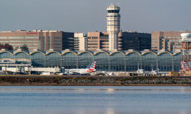 Passenger planes rest near a terminal at Reagan National Airport in Washington