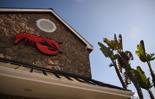 Red Lobster has filed for bankruptcy protection.