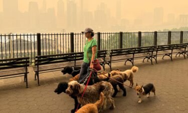 Last year's Canadian wildfires shrouded parts of New York City in smoke.