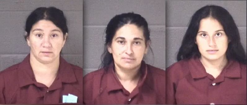 <i>Asheville Police/WLOS via CNN Newsource</i><br/>Three women accused of stealing thousands of dollars in baseball bats from the company D-BAT were apprehended by Asheville police on June 23 near its Asheville store.