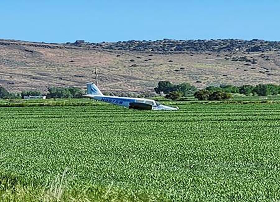 <i>Courtesy Jefferson County Sheriff’s Office/eastidahonews.com via CNN Newsource</i><br/>The plane lost power and landed in a farmer’s field.
