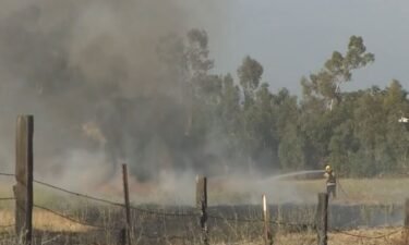 Horse heroes took the reins in Roseville as firefighters battled a 16-acre vegetation fire that was inching closer and closer to a neighborhood off of PFE Road and Watt Avenue on Thursday evening.
