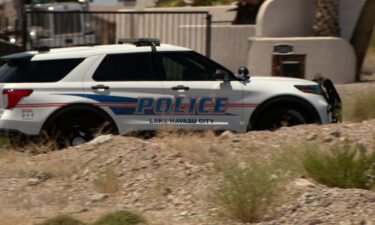 An Arizona man with developmental disabilities has filed a lawsuit against Lake Havasu City alleging police officers used excessive force when they repeatedly tasered him last year.