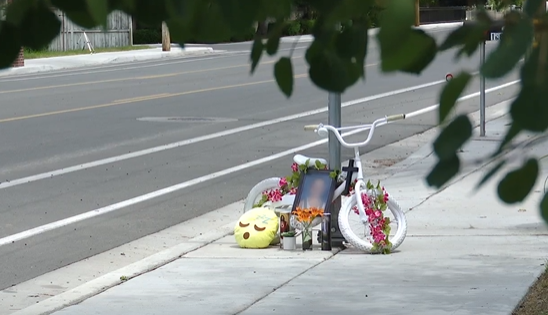 <i>KSTU via CNN Newsource</i><br/>The memorial featuring a banged up kids bicycle wrapped in flowers