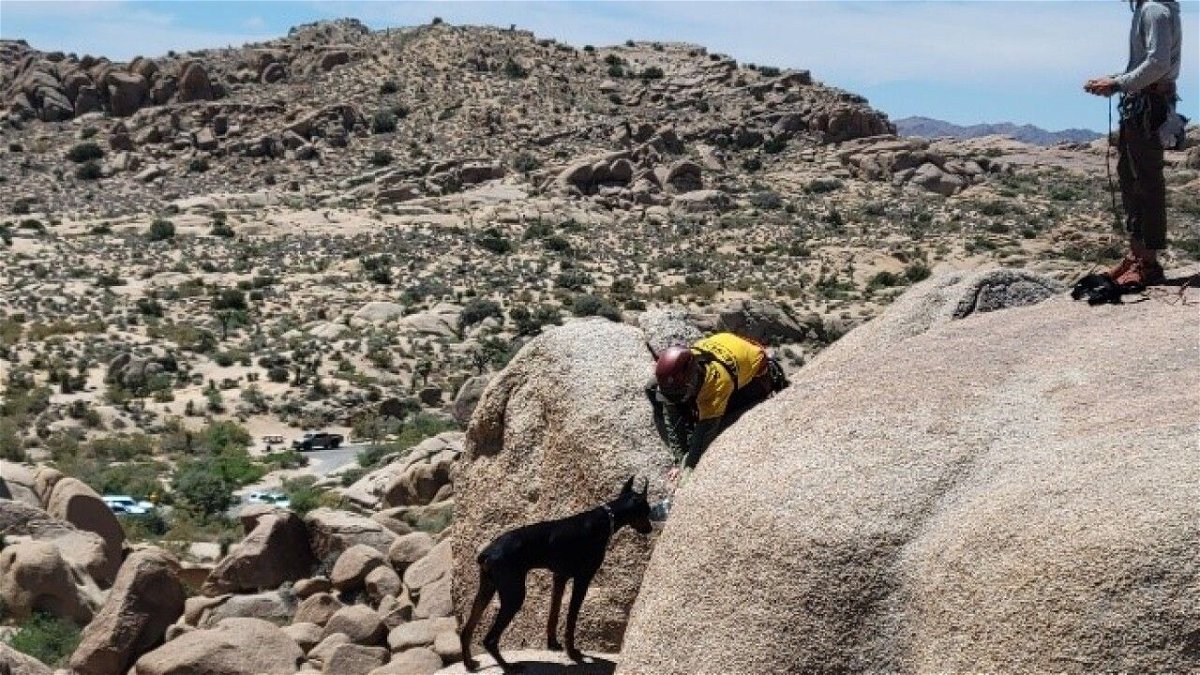 <i>National Park Service/KTNV via CNN Newsource</i><br/>Pet owners were fined after search and rescue teams had to save their dog at Joshua Tree National Park.
