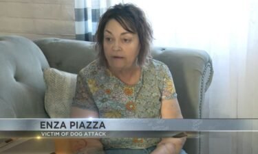Enza Piazza had the dog for four years and even nursed it back to health.
