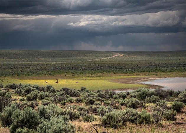 Open range, Eastern Oregon by Bryan Andresen