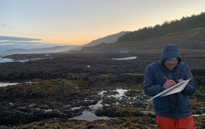 Zechariah Meunier of OSU conducts rocky shore surveys in California.