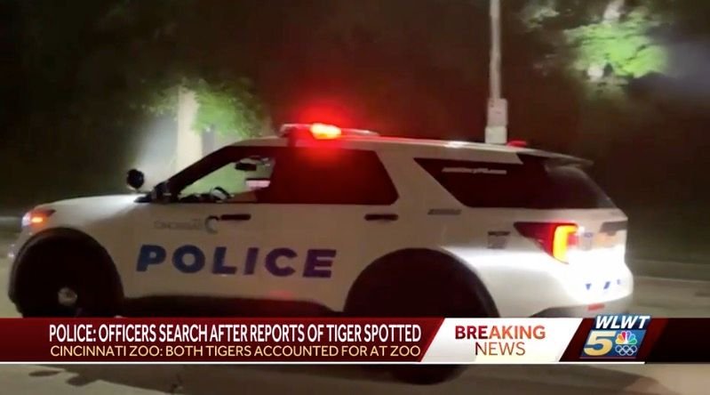 <i>WLWT via CNN Newsource</i><br/>Police are searching the area around the Cincinnati Zoo after receiving reports of a possible tiger sighting. Officials have been on the search since early June 3.
