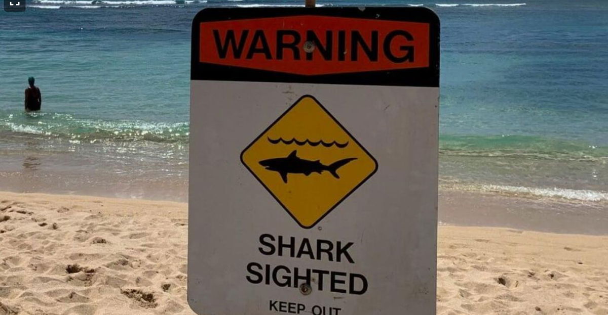 <i>KITV via CNN Newsource</i><br/>Shark warning signs have been posted at Magic Island