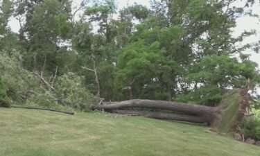 Cleanup is underway throughout the Pittsburgh area as several communities were hit with suspected tornado damage.