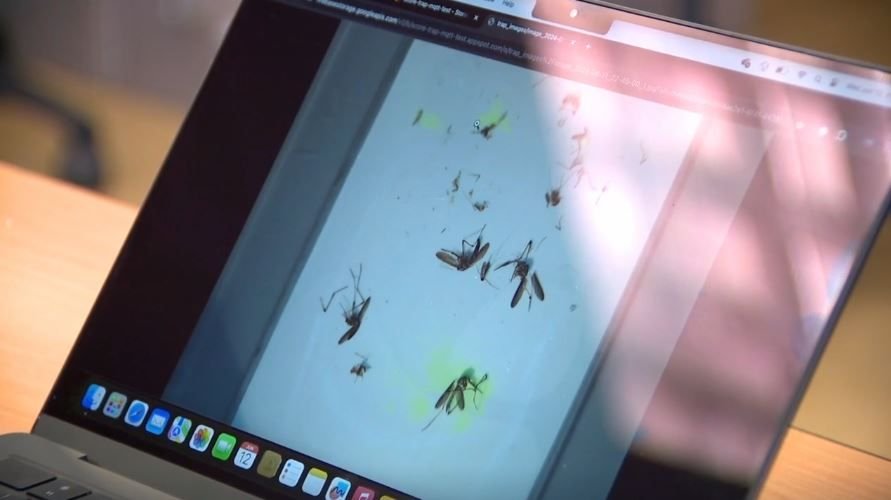 <i>WFTS via CNN Newsource</i><br/>Researchers with the University of South Florida are using artificial intelligence to advance mosquito surveillance and help combat malaria in Africa.
