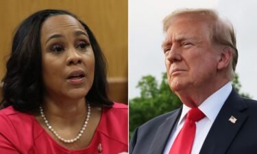 A Georgia court of appeals has halted the election subversion conspiracy case against former President Donald Trump until a panel of judges rules on whether Fulton County District Attorney Fani Willis should be disqualified.