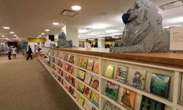A view of the children's section in the interior of the New York Public Library's (NYPL) Stavros Niarchos Foundation Library
