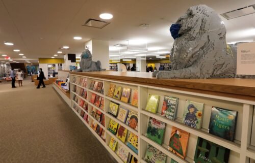 A view of the children's section in the interior of the New York Public Library's (NYPL) Stavros Niarchos Foundation Library