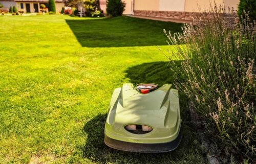 The history of lawn mowers