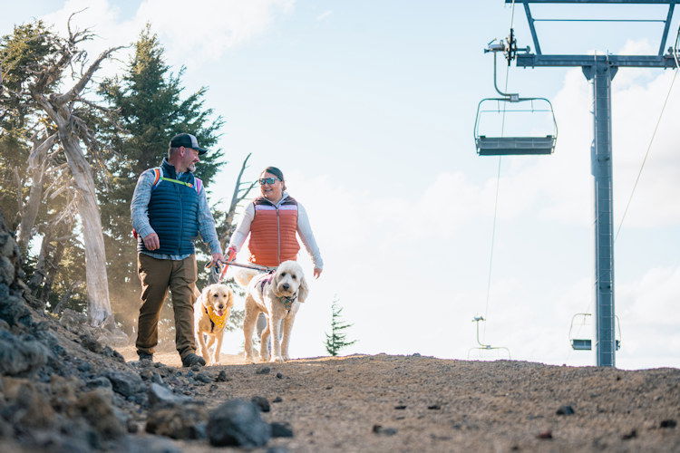 Evergreen is Mt. Bachelor's first designated easy hiking and downhill bike trail.
