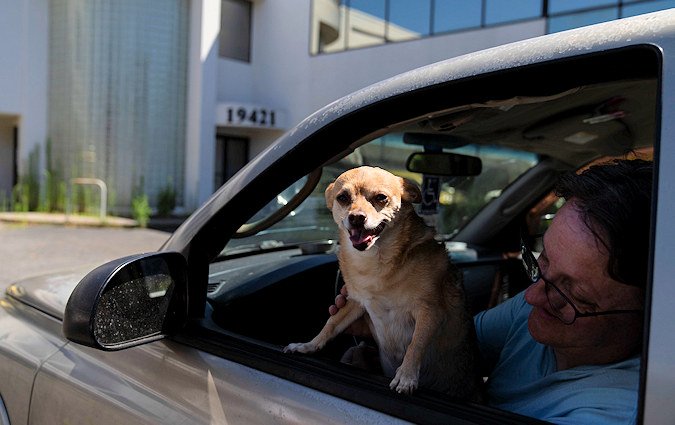 Sherri Thompson, with her chihuahua 14-year-old Kiwahi, waits in her vehicle for the Cook Plaza cooling center to open on Friday in Gresham. Thompson has lived in her car for three years, and can only run its air conditioning for about 20 minutes at a time as it causes the engine to overheat. 