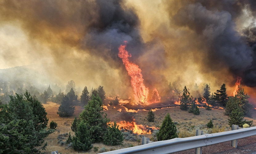 Juniper Fire Highway 97 Jefferson County SO 7-10-2