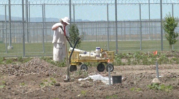 <i>KSTU via CNN Newsource</i><br/>A gardening program at the Utah State Prison is expanding to the women’s side of the facility.