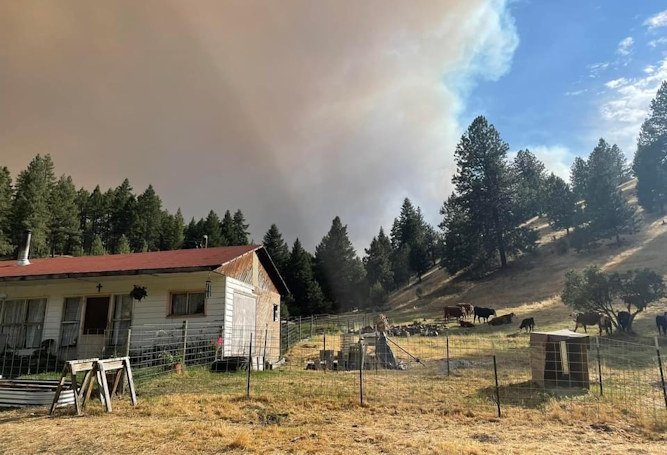 A smoke column from the Lone Rock Fire is seen with a house in the foreground and cows near the house. 