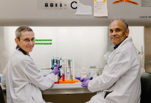 OSU cancer researchers Christiane Löhr, left, and Siva Kolluri.