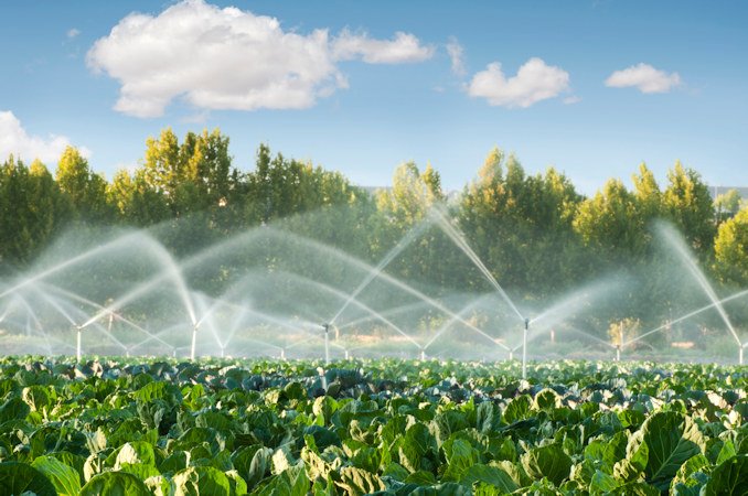 Agriculture accounts for nearly 85% of Oregon's water use.