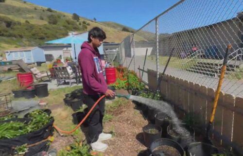 Students on the San Francisco Peninsula are taking advantage of a program that teaches lessons on climate change and building projects that mitigate its effects on the community.  At Oceana High School in Pacifica at the base of Milagra Ridge