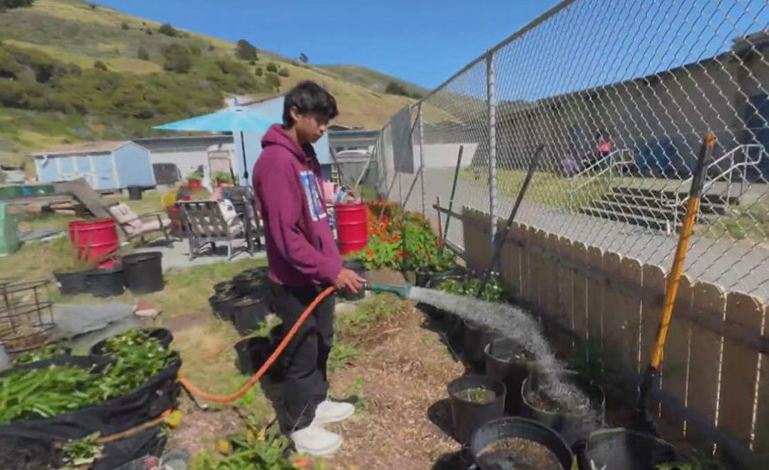 <i>KPIX via CNN Newsource</i><br/>Students on the San Francisco Peninsula are taking advantage of a program that teaches lessons on climate change and building projects that mitigate its effects on the community.  At Oceana High School in Pacifica at the base of Milagra Ridge
