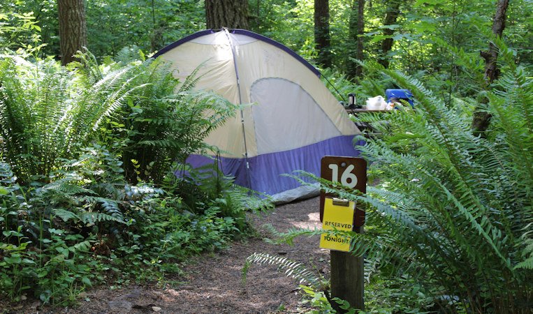 Tent at LL Stub Stewart State Park