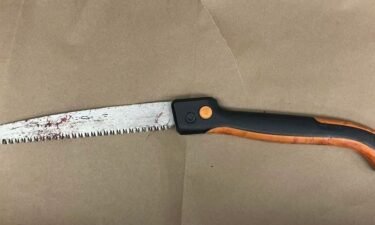 A woman in Madison was attacked with a pruning saw during a fight Monday night